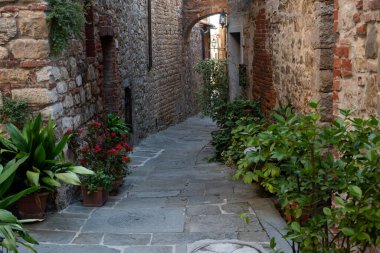 Looking down a stone path alleyway toward an archway and aging stone buildings and plants in the village of Lucignano, Tuscany, Italy.