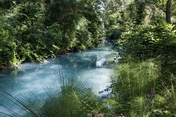 Elsa Nehri 'nin sütlü suları Tuscany, orta İtalya' daki Diboratto Şelalesi yolu boyunca yüzmek ve yürüyüş yapmak için popüler bir yerdir.. 