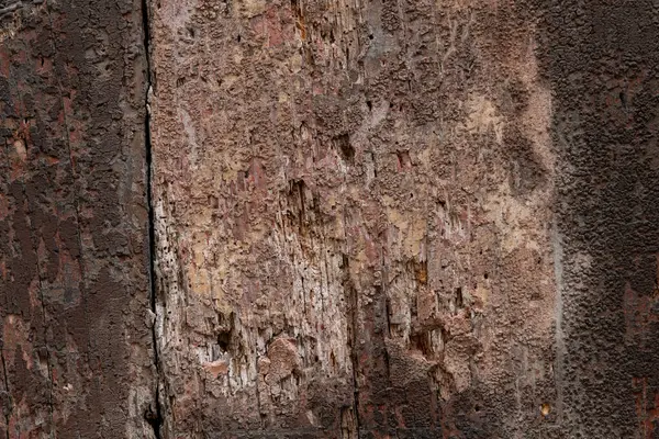 Tuscany, İtalya 'daki eski, çürümüş, ahşap bir kapının dokusunun soyut ayrıntıları, çatlakları ve çürümesi.