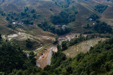 Kuzeybatı Vietnam 'daki Sapa bölgesindeki bir nehir vadisinde teras manzarası, sel basmış pirinç tarlaları.. 