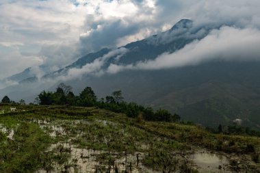 Sel basmış bir çeltik tarlası, ağaçlar ve kuzeybatı Vietnam dağlarında alçak bulutlar.. 