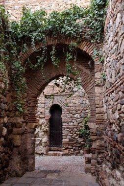 İspanya 'nın güneyindeki Malaga, Endülüs' teki Alcazaba Kalesi 'nde kemerli, tuğlalı ve taş kapılı sarmaşık bitkileri.. 