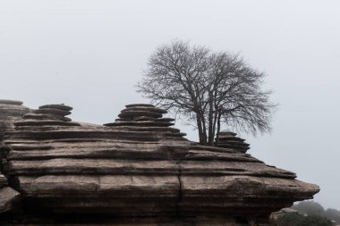 Güney İspanya 'nın Endülüs kenti Antequera' nın güneyinde yer alan Sierra del Torcal sıradağlarında bir doğa rezervi olan El Torcal de Antequera 'daki kaya oluşumları. 