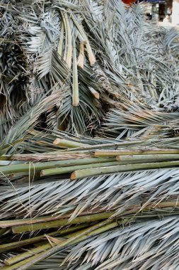 Yahudi festivali Sukkot 'un önündeki Kudüs caddesinde hurma dalları üst üste yığıldı. Dallar, Sukkot adı verilen geçici kulübelerin çatıları için kullanılır. Tatilin en önemli törensel gözlemlerinden biridir..