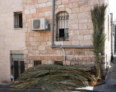 Sukkot bayramından önce Kudüs 'te bir sokakta yeni kesilmiş palmiye dalları satılıyor. Dallar, festivalin merkezi ayini olan sukkah için çatı örtüsü olarak kullanılıyor.. 