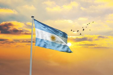 Arjantin bayrağını gün batımına ya da gündoğumuna karşı sallıyor. Cumhuriyet Günü ve Bağımsızlık Günü için Arjantin bayrağı.