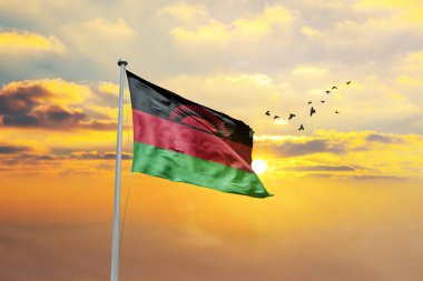 Gün batımına ya da gündoğumuna karşı Malavi bayrağı sallıyor. Cumhuriyet Günü ve Bağımsızlık Günü için Malavi bayrağı.