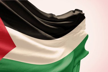 Beyaz arka planda Filistin bayrağı sallıyor. Bağımsızlık Günü için kutuptaki Filistin bayrağı. Devletin dalgalı kumaş üzerindeki sembolü..