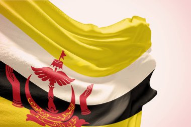 3D illüstrasyon metnin için kopyalama alanı olan brunei bayrağı