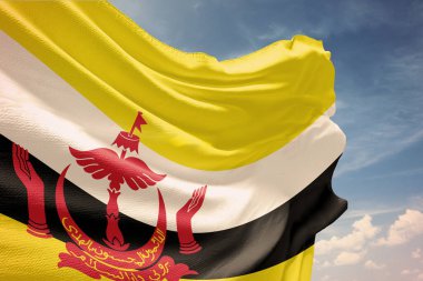 Kumaşında brunei bayrağı var. 3 Boyutlu Hazırlama.