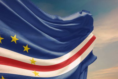 Porto Riko 'nun mavi bayrağını sallıyor.