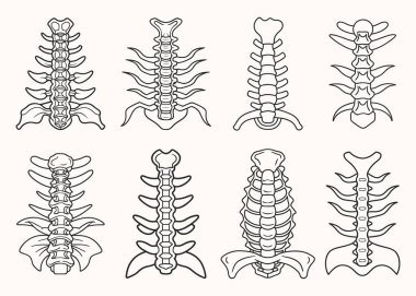 Omurga teşhis çizgisi sanat biçimi vektörü.