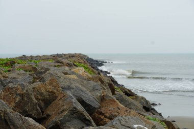 Hindistan 'da güzel bir sahil