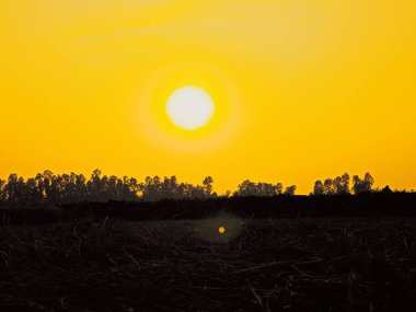 Altın Ufuk, Batan Güneşin Huzurlu Güzelliği