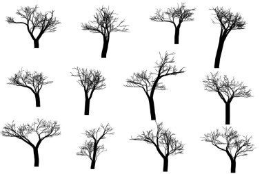 Peyzaj ve Doğa Temaları için Ağaç Silüeti Vektörü