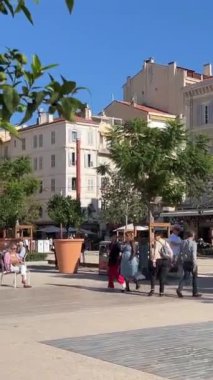 Market evlerinin yakınında ağaçlar, şehir turistleri Marche Forville Provencal Market ve eski kasaba Fransa Cannes 11.01.2024 'te hayat buluyor.