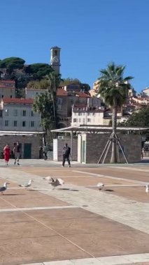 Croisette, Promenade de la Croisette, Boulevard de la Vidom, Cannes sahil limanı Fransa Cannes 11.2024