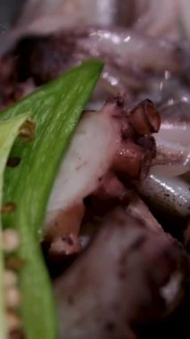 Baharatlı spagetti, deniz ürünleri, kızarmış spagetti, karides ve kalamar ile makarna. Kalamar ve karidesli makarna, soslu kokulu makarna. kalamar karides ahtapot yeşil biber