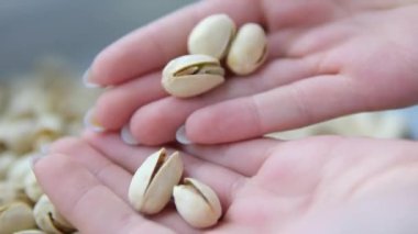 Fıstık tutan bir el, bir yığın şam fıstığı ve fıstıklı bir kadın eli. Yüksek kalite 4k görüntü