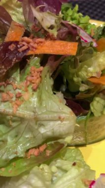 Feta Peynirli ve Sebzeli Renkli Taze Salata Akdeniz Diyeti Dengeli Yeme ve Canlı Sağlıklı Beslenme. Yüksek kalite 4k görüntü