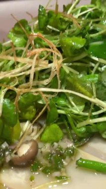 Evdeki düzgün beslenme için plastik kaplarda organik filizler var. Yüksek kalite 4k görüntü