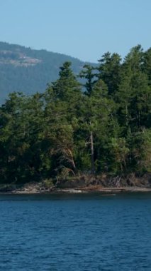 Dağ Gölü 'nde yüzen şamandıra. Yüksek kalite 4k görüntü