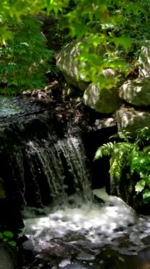 Plitvice, göller, ulusal park, su, doğa, manzara, park, vahşi yaşam, şelale, huzur, açık hava, orman, seyahat, manzara, huzur, biyolojik çeşitlilik, doğal, ekosistem, güzellik