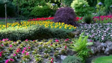 Victoria British Columbia, Kanada Butchart Gardens Kanada Ulusal Tarihi Sitesi, turistler batık bahçelerdeki patikaların çevresini geziyorlar. Yüksek kalite 4k görüntü