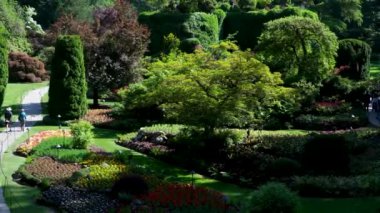 Victoria British Columbia, Kanada Butchart Gardens Kanada Ulusal Tarihi Sitesi, turistler batık bahçelerdeki patikaların çevresini geziyorlar. Yüksek kalite 4k görüntü