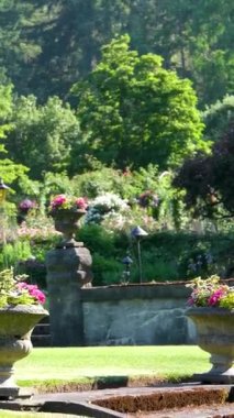 Victoria British Columbia, Kanada Butchart Gardens Kanada Ulusal Tarihi Sitesi, turistler batık bahçelerdeki patikaların çevresini geziyorlar. Yüksek kalite 4k görüntü