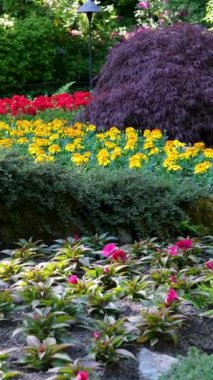 Victoria British Columbia, Kanada Butchart Gardens Kanada Ulusal Tarihi Sitesi, turistler batık bahçelerdeki patikaların çevresini geziyorlar. Yüksek kalite 4k görüntü