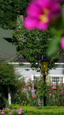 Victoria British Columbia, Kanada Butchart Gardens Kanada Ulusal Tarihi Sitesi, turistler batık bahçelerdeki patikaların çevresini geziyorlar. Yüksek kalite 4k görüntü