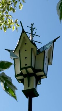 Bir güvercin ağaçtaki ahşap kuş evinin tepesine tünemiş, başka bir kuş ise ağaçtan iniyor. Sahne yemyeşil yapraklarla çevrili, sakin bir atmosfer yaratıyor. Yüksek kalite 4k görüntü