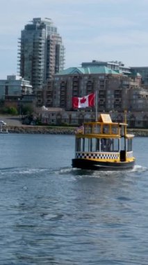Victoria, Canada Marina 'daki balıkçı iskelesinde. Yüksek kalite 4k görüntü