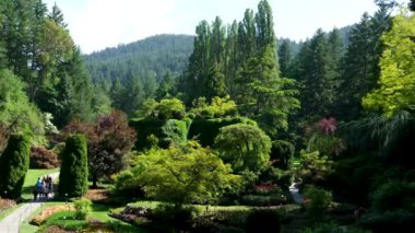 Victoria British Columbia, Kanada Butchart Gardens Kanada Ulusal Tarihi Sitesi, turistler batık bahçelerdeki patikaların çevresini geziyorlar. Yüksek kalite 4k görüntü