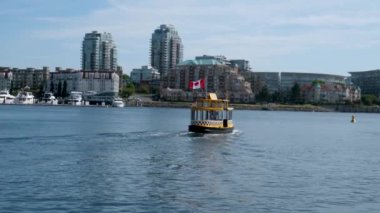 Victoria, Canada Marina 'daki balıkçı iskelesinde. Yüksek kalite 4k görüntü