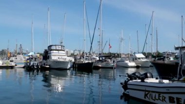 Victoria, Canada Marina 'daki balıkçı iskelesinde. Yüksek kalite 4k görüntü