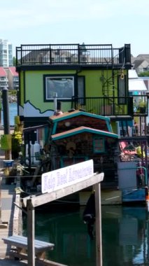 Victoria, Canada Marina 'daki balıkçı iskelesinde. Yüksek kalite 4k görüntü
