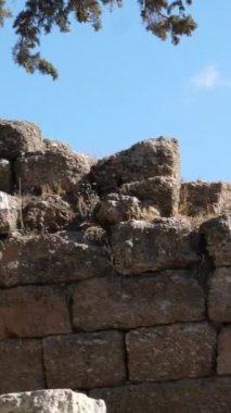 İkonik Akropolis tepesi ve Antik Dünya 'nın eşsiz başyapıtı Partenon gün batımında güzel renklerle, Atina tarihi merkezi, Attica. Yunanistan Atina Akropolü turlu bazı videolar 
