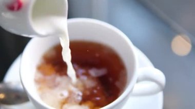 Siyah çay üst manzarasına süt dökmek. Taze demlenmiş yeşil çay seremonisi, sağlıklı bir sabah, arınma içeceği. Yüksek kalite 4k görüntü