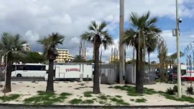 Palmiye ağaçlarının taşınması... İtalya 'nın 11.23.2024 sayılı Sicilya turizm otobüsünden şehre otobüsleri getiriyor.