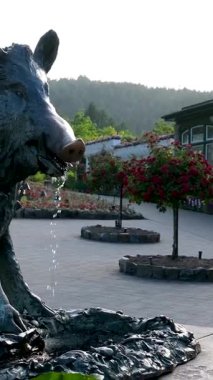 Vancouver Adası Butchart Gardens Kanada Victoria. Vancouver Adası, British Columbia, Kanada 'daki Butchart Gardens' ın güzel yaz manzarası yatay formatta.