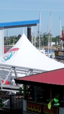 Victoria, Canada Marina 'daki balıkçı iskelesinde. Yüksek kalite 4k görüntü