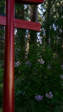 Victoria British Columbia, Kanada Butchart Gardens Kanada Ulusal Tarihi Sitesi, turistler batık bahçelerdeki patikaların çevresini geziyorlar. Yüksek kalite 4k görüntü