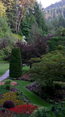 Butchart Gardens Kanada Victoria. Kanada 'nın Flora ve Fauna' sı Vancouver 'ın florası yeşil çiçeklerin zenginliği Kuzey Amerika' nın yeşil alanları
