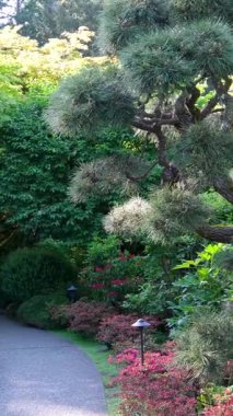 Hama Rikyu Bahçeleri 'nde ağaçlar ve mevsimlik renklerle çevrili huzurlu bir bahçe yolu. Vancouver Adası Butchart Bahçeleri Kanada Victoria