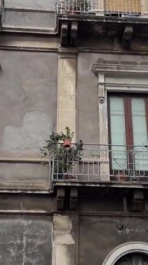La Spezia, İtalya. Embankment, Viale Italia caddesi. Yukarıdan bak. Neon beyaz efekt metni, kameranın gidişi. Yüksek kalite 4k görüntü
