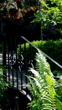 Bereketli yeşilliği ve canlı yeşilliği yansıtan sakin bir göleti olan sakin bir tropikal seraya dalın. Yüksek kalite 4k görüntü