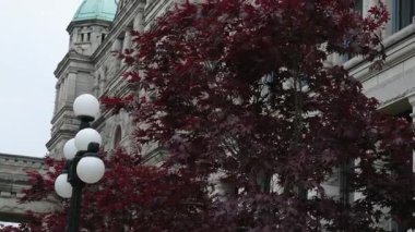 Victoria, BC, Victoria, British Columbia, Kanada 'daki British Columbia Parlamento Binası' nda tarihi hükümet binası. 02.24.2025