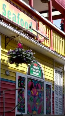 Victoria, Canada Marina 'daki balıkçı iskelesinde. Yüksek kalite 4k görüntü